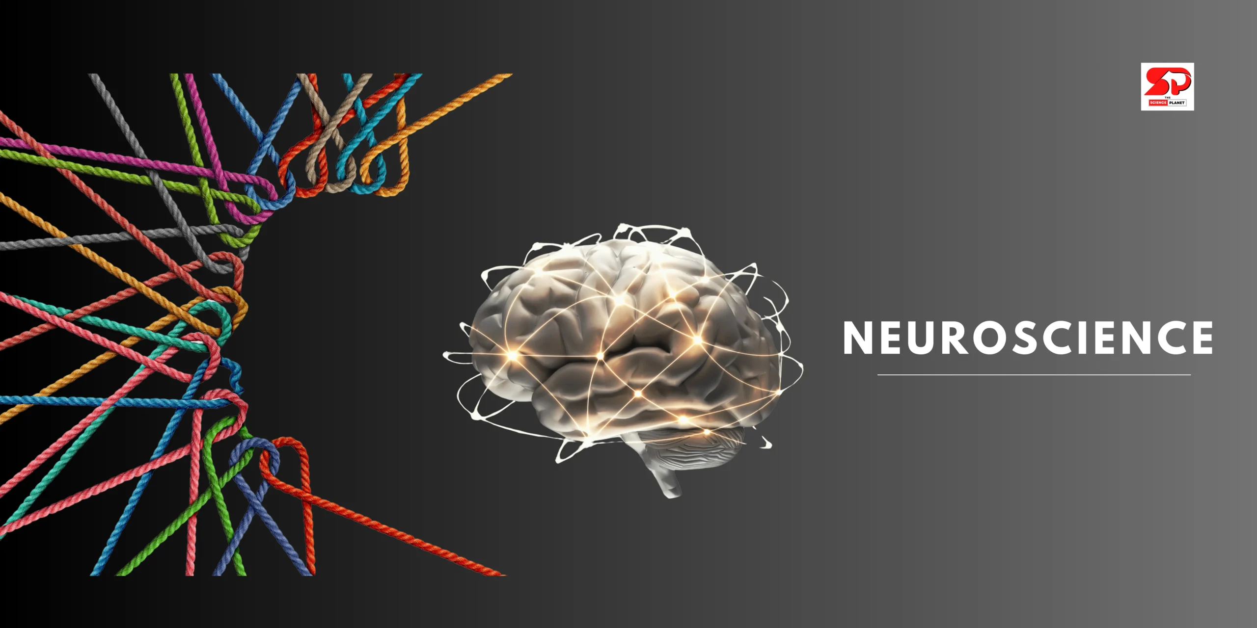 NEUROSCIENCE WEB BANNER ; SCIENCE PLANET